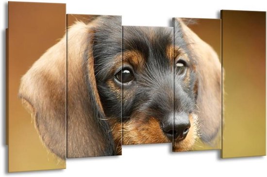 GroepArt - Canvas Schilderij - Hond - Grijs, Zwart, Bruin - 150x80cm 5Luik- Groot Collectie Schilderijen Op Canvas En Wanddecoraties