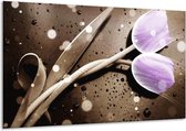 Peinture sur verre tulipe | Violet, gris | 120x70cm 1Hatch | Tirage photo sur verre |  F005142