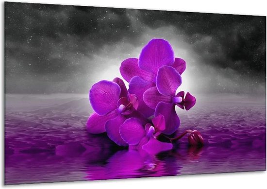 Peinture sur verre d'orchidée | Violet, gris | 120x70cm 1Hatch | Tirage photo sur verre |  F005850