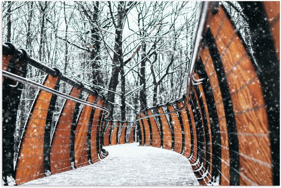 WallClassics - Poster Glanzend – Hekwerk in Ondergesneeuwd Bos - 150x100 cm Foto op Posterpapier met Glanzende Afwerking