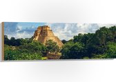 Hout - ''Piramide van de Tovenaar'' Yucatan, Mexico - 120x40 cm - 9 mm dik - Foto op Hout (Met Ophangsysteem)
