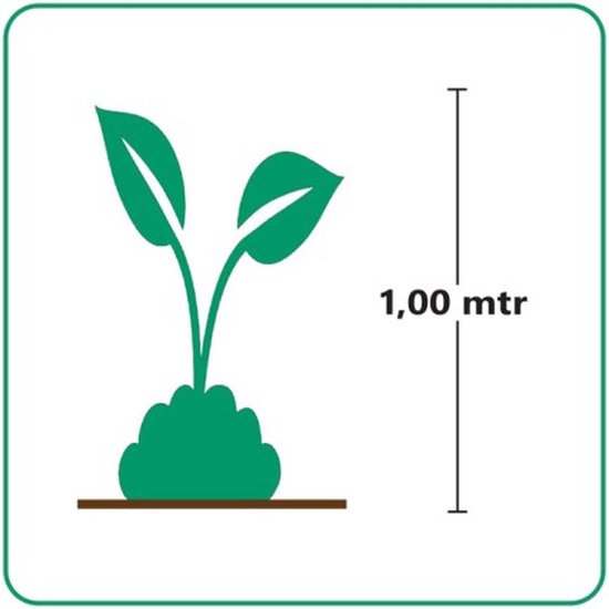 Groen icoon met plant van 1 meter hoog.