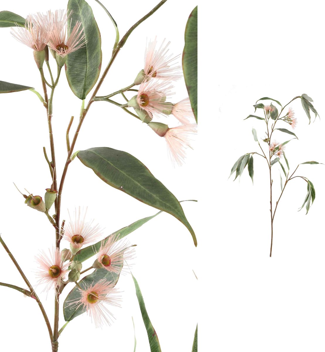 PTMD Eucalyptus Tak Kunstplant - 85 x 50 x 118 cm - Groen/roze | bol.com