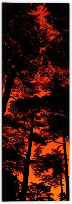WallClassics - Dibond - Silhouet van Groep Bomen tegen Oranje Lucht - 50x150 cm Foto op Aluminium (Wanddecoratie van metaal)