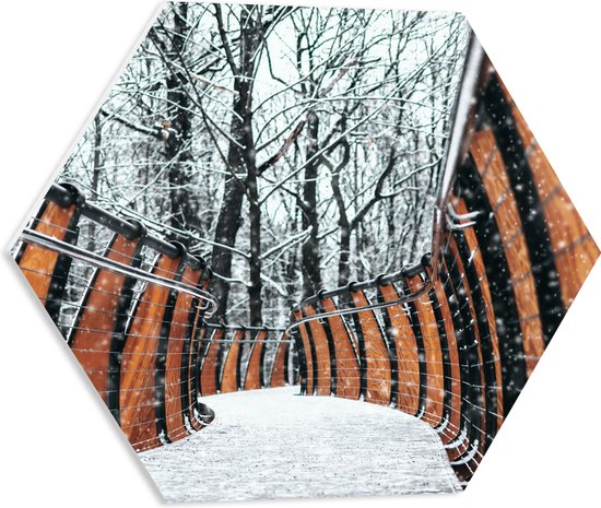 WallClassics - PVC Schuimplaat Hexagon - Hekwerk in Ondergesneeuwd Bos - 50x43.5 cm Foto op Hexagon (Met Ophangsysteem)