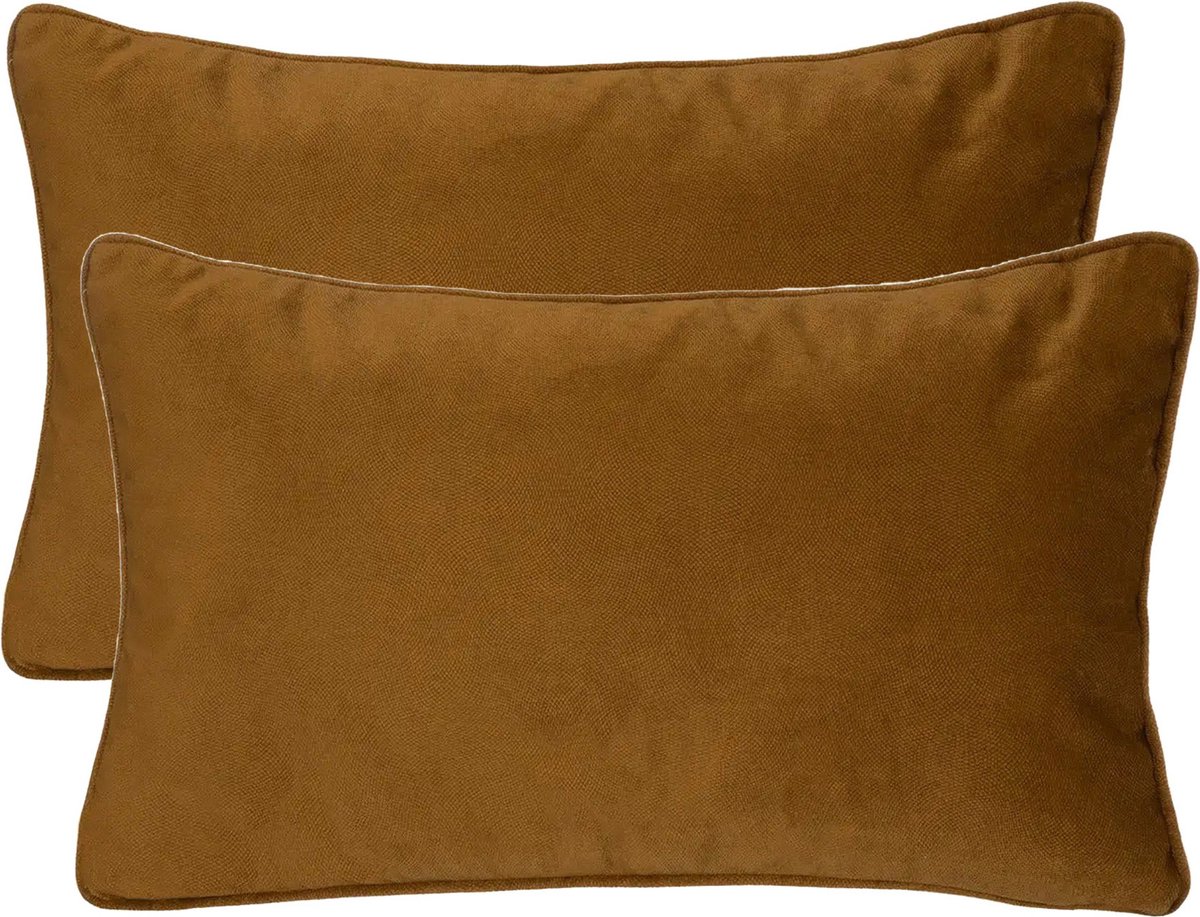 Atmosphera Bank/sierkussens Sophia - 2x stuks - 30 x 50 cm - polyester met rits Goudkleurig