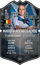 Darts Mario Vandenbogaerde Bull's Ultimate Card 37x25cm