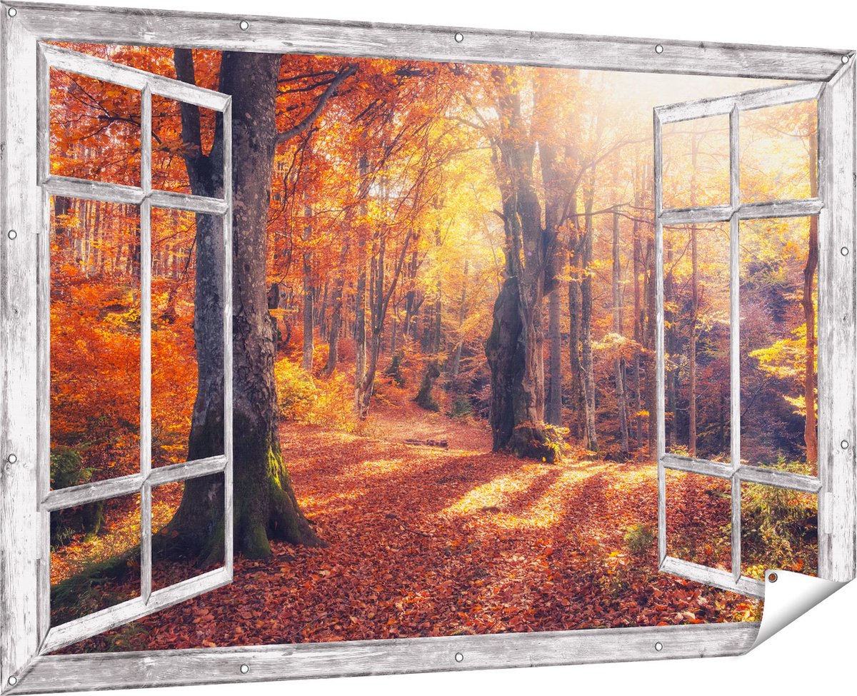 Gards Tuinposter Doorkijk Oranje Herfstbos met Zonneschijn - 180x120 cm - Tuindoek - Tuindecoratie - Wanddecoratie buiten - Tuinschilderij Multikleur