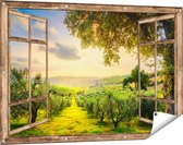 Gars Affiche jardin Oliviers transparents - Oliveraie - 120x80 cm - Toile jardin - Décoration de jardin - Décoration murale extérieur - Tableau jardin