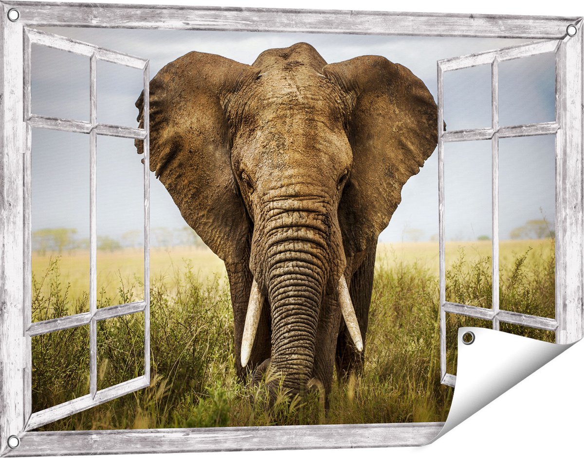 Gards Tuinposter Doorkijk Olifant in het Wild - Kleur - 90x60 cm - Tuindoek - Tuindecoratie - Wanddecoratie buiten - Tuinschilderij Grijs