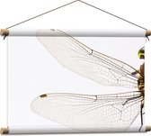 Textielposter - Doorzichtige Vleugels van Libel tegen Witte Achtergrond - 60x40 cm Foto op Textiel
