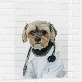 Muursticker - Hond Verkleed als Dokter - 60x90 cm Foto op Muursticker