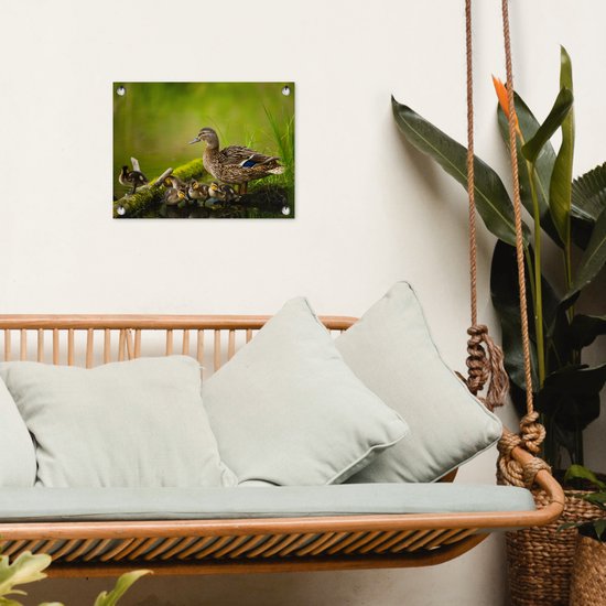 Décoration de Jardin Canard - Vogels - Water - Branche - Mousse - 40x30 cm