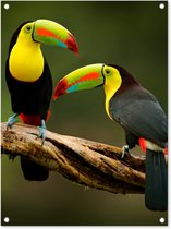 Tuinschilderij Vogels - Toekan - Tak - Dieren - Regenboog - 60x80 cm - Tuinposter - Tuindoek - Buitenposter