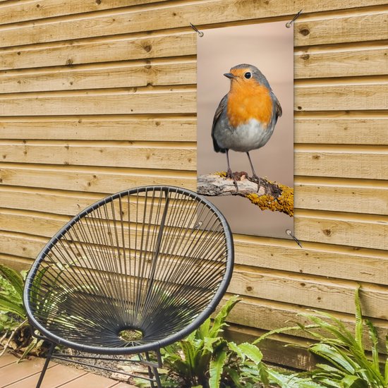 Tuinposter van een roodborstje op een tak, gemonteerd op een houten schutting boven een zwarte stoel.