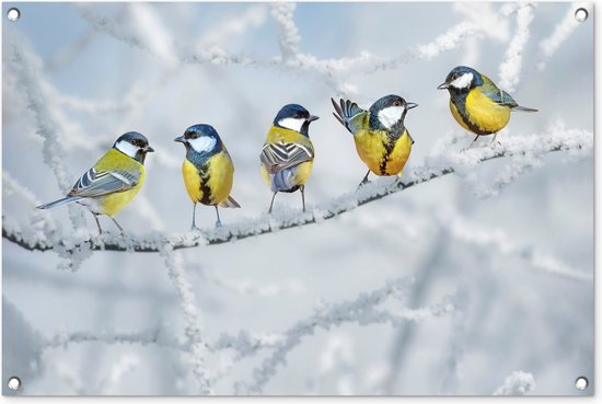 Tuinposters buiten Vogel - Koolmees - Winter - Sneeuw - Takken - 90x60 cm - Tuindoek - Buitenposter