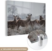 MuchoWow® Glasschilderij 150x100 cm - Schilderij acrylglas - Herten - Gras - Sneeuw - Winter - Foto op glas - Schilderijen