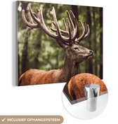 MuchoWow® Peinture sur verre - Cerf - Nature - Bois - Forêt - Animaux - 40x30 cm - Peintures sur verre acrylique - Photo sur Glas