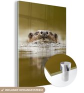 MuchoWow® Glasschilderij 90x120 cm - Schilderij acrylglas - Otter zwemt - Foto op glas - Schilderijen