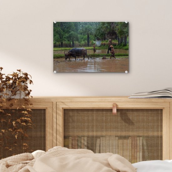 MuchoWow® Peinture sur verre 30x20 cm - Peinture sur verre acrylique - Un agriculteur asiatique laboure sa terre avec un bœuf - Photo sur verre - Peintures