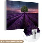 MuchoWow® Glasschilderij 180x120 cm - Schilderij acrylglas - Lavendel - Boom - Paars - Foto op glas - Schilderijen