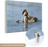 MuchoWow® Glasschilderij 30x20 cm - Schilderij acrylglas - Moederfuut en de kuikens - Foto op glas - Schilderijen
