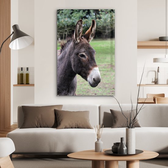 MuchoWow® Peinture sur Verre - Âne Brun - 80x120 cm - Peintures sur Verre Acrylique - Photo sur Glas