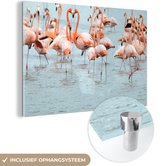 MuchoWow® Glasschilderij 90x60 cm - Schilderij acrylglas - Een groep flamingo's in het water - Foto op glas - Schilderijen