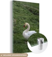 MuchoWow® Glasschilderij 80x120 cm - Schilderij acrylglas - Zwaan - Gras - Natuur - Foto op glas - Schilderijen