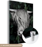 MuchoWow® Peinture sur verre – Highlander écossais – Portrait – Feuilles – Zwart et blanc – 90 x 120 cm – Peintures sur verre acrylique – Photo sur Glas