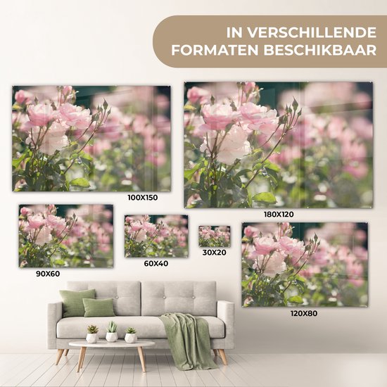MuchoWow® Peinture sur Verre - Roses - Fleurs - Rose - 90x60 cm - Peintures sur Verre Peintures - Photo sur Glas