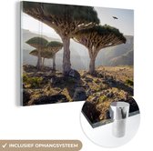 MuchoWow® Glasschilderij 30x20 cm - Schilderij acrylglas - Drakenbomen op een klif - Foto op glas - Schilderijen