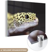 MuchoWow® Glasschilderij 30x20 cm - Schilderij acrylglas - Gekko met een luipaardprint - Foto op glas - Schilderijen
