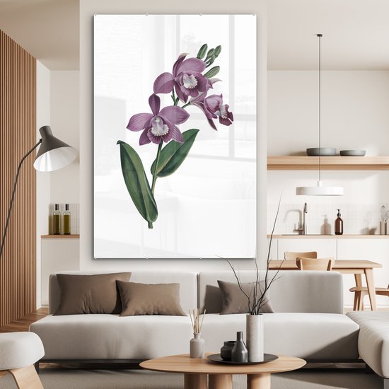 MuchoWow® Peinture sur verre - Fleurs - Orchidée - Violet - 100x150 cm - Peintures sur verre acrylique - Photo sur Glas