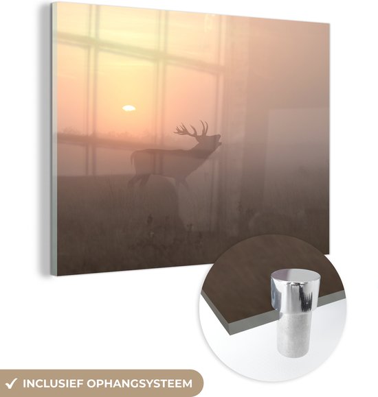 MuchoWow® Peinture sur verre - Cerf - Soleil - Brouillard - 40x30 cm - Peintures sur verre acrylique - Photo sur Glas