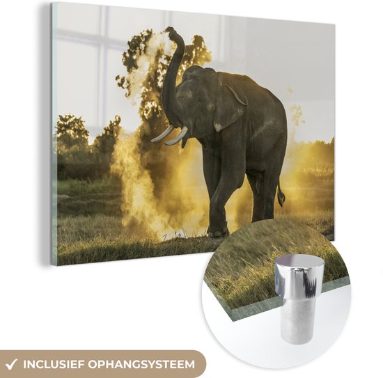 MuchoWow® Peinture sur Verre - Éléphant - Soleil - Animaux - 30x20 cm - Peintures sur Verre Acrylique - Photo sur Glas