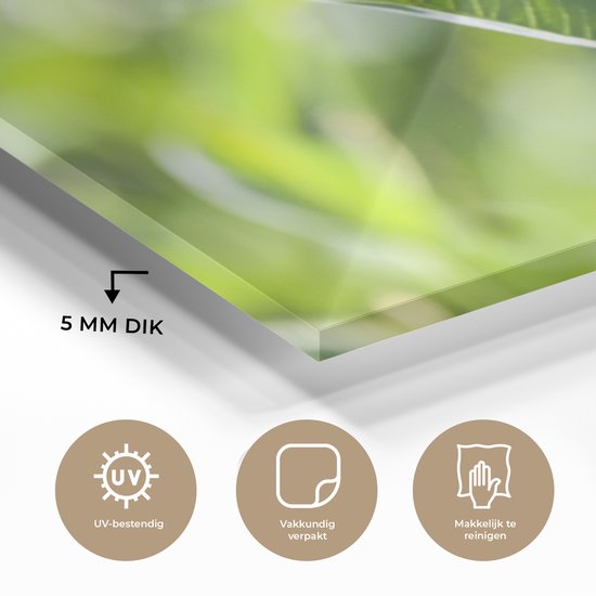 MuchoWow® Peinture sur verre 150x100 cm - Peinture sur verre acrylique - Papillon monarque volant - Photo sur verre - Peintures