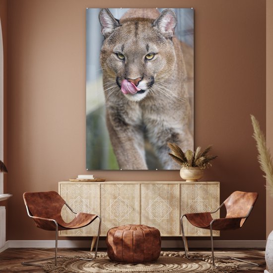 MuchoWow® Peinture sur verre 100x150 cm - Peinture sur verre acrylique - Puma qui marche - Photo sur verre - Peintures