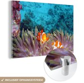 MuchoWow® Glasschilderij 60x40 cm - Schilderij glas - Clown - Vis - Clownvis - Foto op acrylglas - Schilderijen