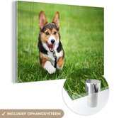 MuchoWow® Glasschilderij 90x60 cm - Schilderij acrylglas - Rennende hond - Foto op glas - Schilderijen