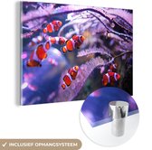 MuchoWow® Peinture sur verre - Un banc de poissons clowns dans l'eau - 180x120 cm - Peintures sur verre acrylique - Photo sur Glas