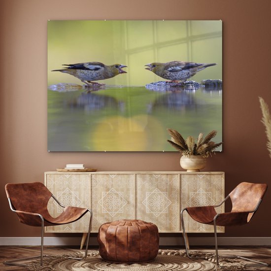 MuchoWow® Peinture sur verre 160x120 cm - Peinture sur verre acrylique - Bain d'oiseaux - Vogel - Water - Photo sur verre - Peintures