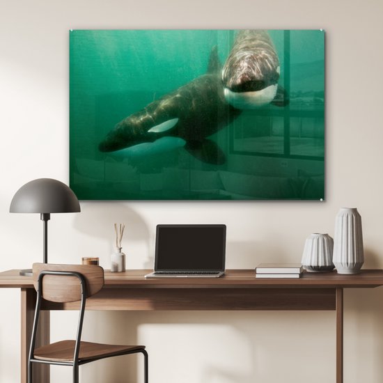 Peinture sur verre - Deux orques dans l'eau - 90x60 cm - Peintures Acryliques - Photo sur Glas