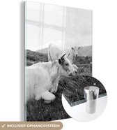 MuchoWow® Glasschilderij 120x160 cm - Schilderij acrylglas - Uitrustende koeien op een berg - Foto op glas - Schilderijen