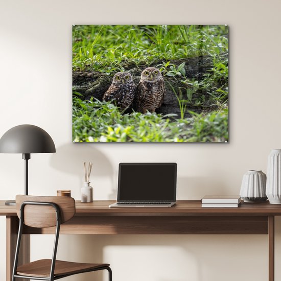 MuchoWow® Peinture sur verre 80x60 cm - Peinture sur verre acrylique - Deux chevêches des terriers devant leur tanière - Photo sur verre - Peintures
