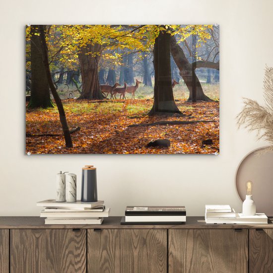 ® Glasschilderij 60x40 cm - Schilderij acrylglas - Herten in een bos in Denemarken - Foto op glas - Muurdecoratie woonkamer - Wanddecoratie slaapkamer - Schilderijen