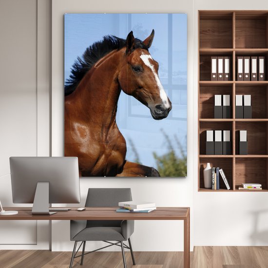 ® Glasschilderij 120x160 cm - Schilderij acrylglas - Paard - Natuur - Bruin - Foto op glas - Muurdecoratie woonkamer - Wanddecoratie slaapkamer - Schilderijen
