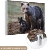 MuchoWow® Glasschilderij 120x80 cm - Schilderij acrylglas - Moederbeer met jongen - Foto op glas - Schilderijen