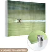 MuchoWow® Glasschilderij 90x60 cm - Schilderij acrylglas - Otter zwemt in water - Foto op glas - Schilderijen
