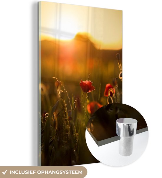 MuchoWow® Glasschilderij 20x30 cm - Schilderij acrylglas - Klaproos - Zonsondergang - Goud - Foto op glas - Schilderijen